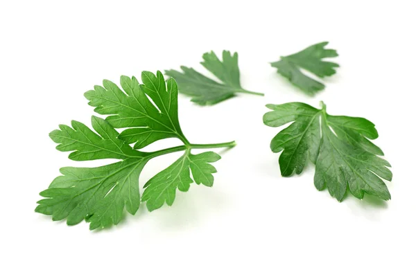 Fresh parsley isolated — Stock Photo, Image