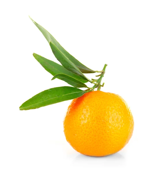 Orange med gröna blad — Stockfoto