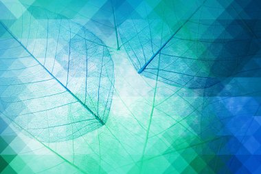 Dekoratif iskelet yaprakları