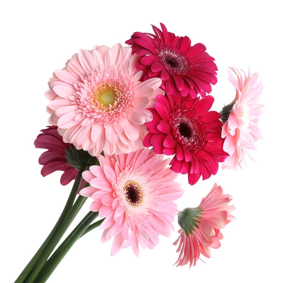Bouquet of gerbers on white — Stock Photo, Image