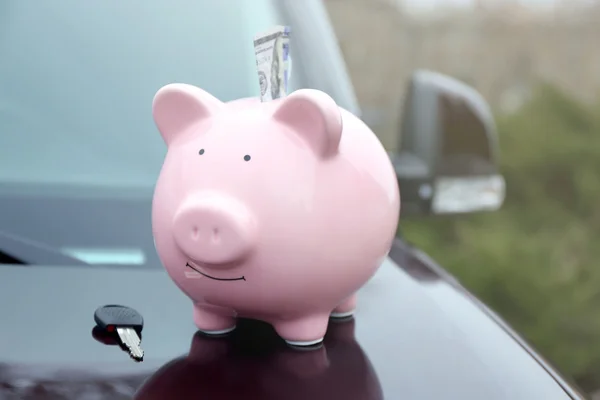 Para ve anahtar domuz para kutusu — Stok fotoğraf