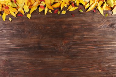 sonbahar yaprakları arka plan