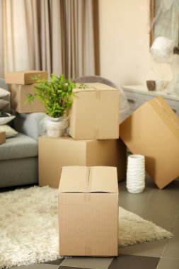 Ev eşyaları Paketli