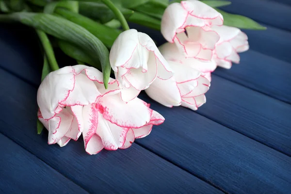 Bouquet di tulipani freschi — Foto Stock