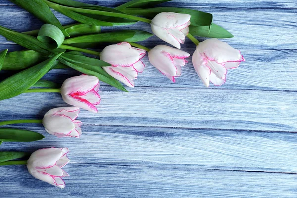 新鲜郁金香花束 — 图库照片