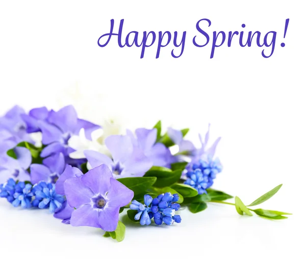 Purple periwinkle and spring text — Stock Photo, Image