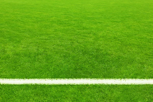 Football field background — Stock Photo, Image