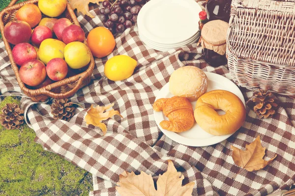 Picnic en el parque de otoño — Foto de Stock