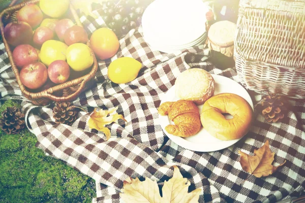 Picnic en el parque de otoño — Foto de Stock