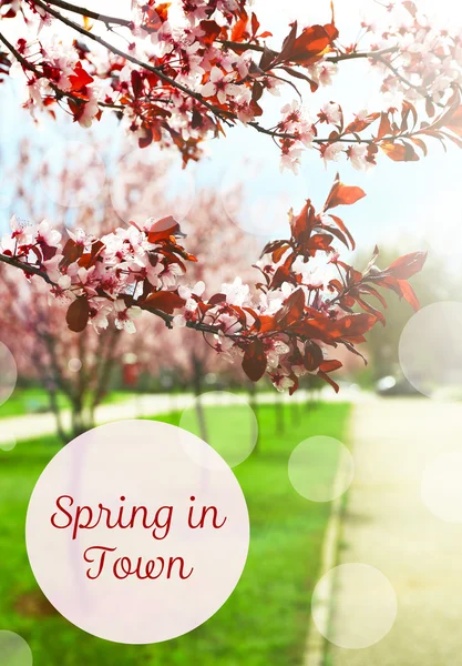 Wiosna w mieście tekstu — Zdjęcie stockowe