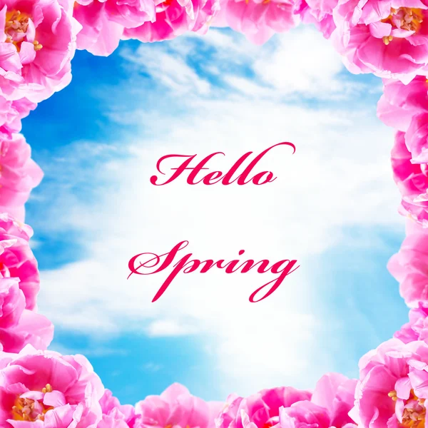 春天的概念。粉红色的郁金香，在蔚蓝的天空 — 图库照片