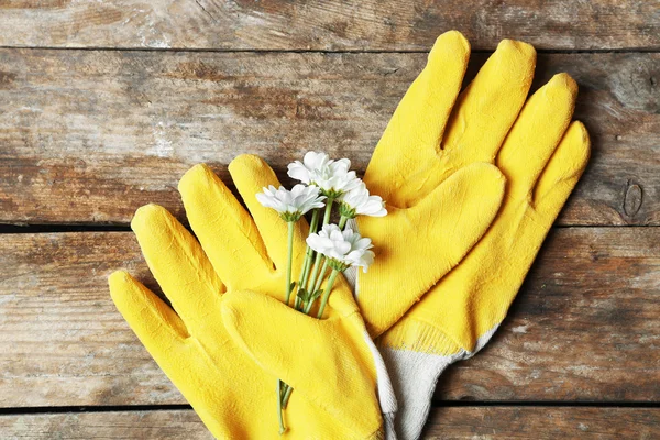 Blommor och trädgårdsmästarens handskar — Stockfoto