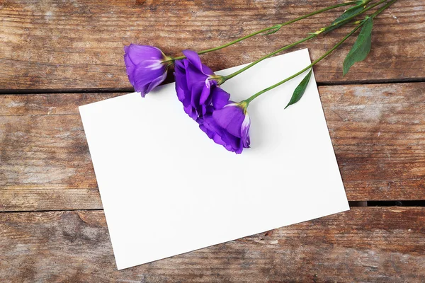 Feuille blanche et belles fleurs — Photo