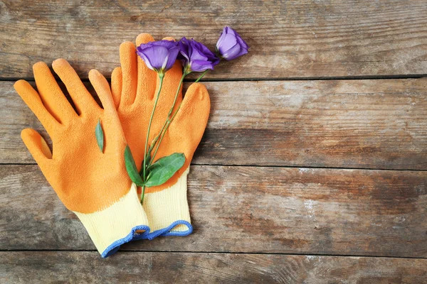 Květin a zahradní rukavice — Stock fotografie