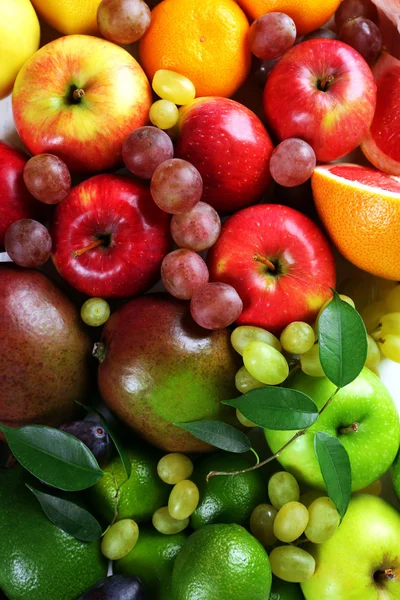 Fresh fruits background — Stock Photo, Image