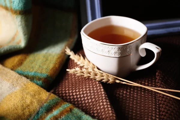 Чашка чаю з осіннім декором — стокове фото