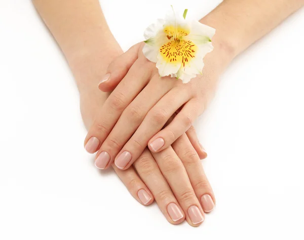 Woman hands, close up — Stock Photo, Image