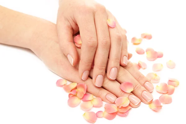 Woman hands, close up — Stock Photo, Image