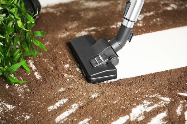 Cleaning after falling flower pot — Stock Photo, Image