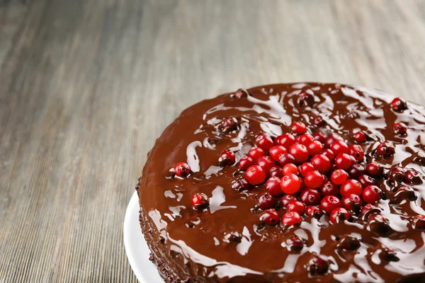 Chocolate cake with cranberries — Stock Photo, Image