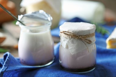 süt ve süt ürünleri kümesi 