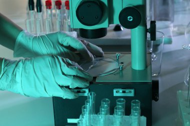 Mikroskopla çalışan bilim adamı