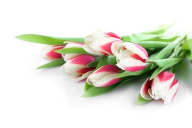 Alacalı Lale buketi 