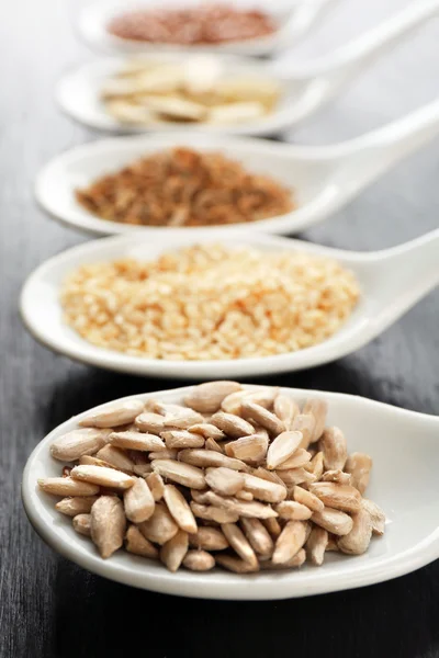 Różnego rodzaju nasion w łyżki — Zdjęcie stockowe