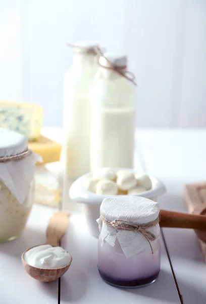 Conjunto de produtos lácteos frescos — Fotografia de Stock