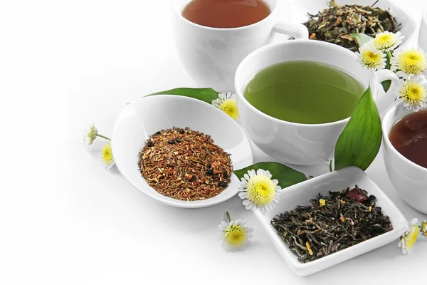 Diferentes tipos de té — Foto de Stock