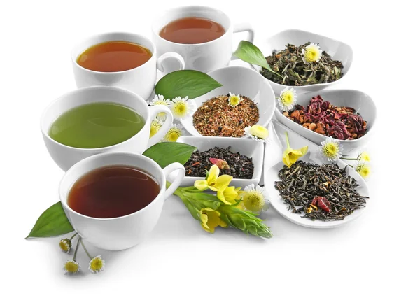 Diferentes tipos de té — Foto de Stock