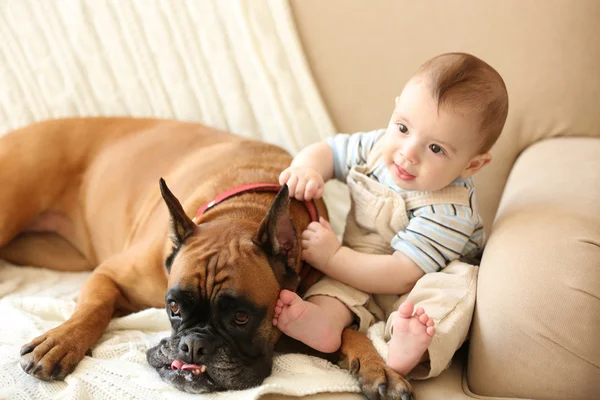 Baby jongetje met boxer hond — Stockfoto