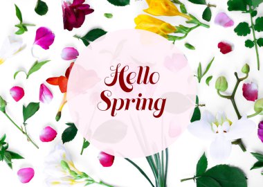 Yaprakları ve bahar çiçekleri yaprakları