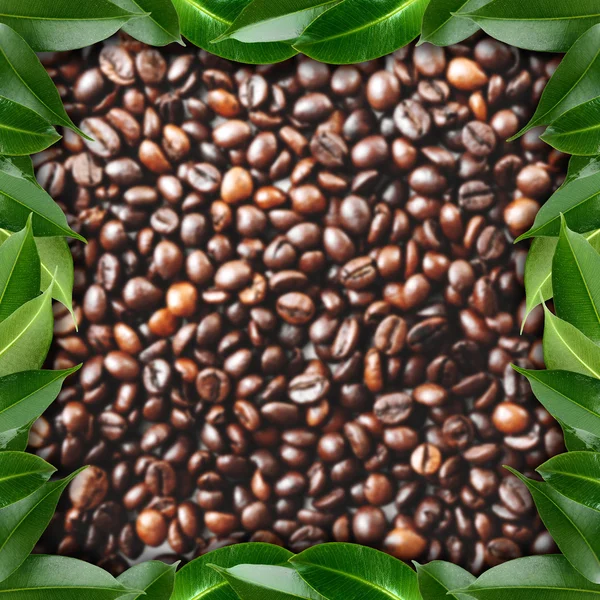 Frame made of coffee beans and leaves — Stock Photo, Image