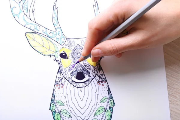 Yetişkin anti stres boyama