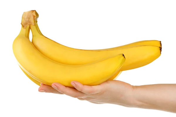 Mão feminina segurando bananas — Fotografia de Stock