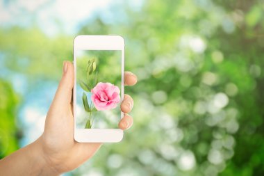 Akıllı telefonu tutan kadın.