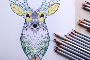 Yetişkin anti stres boyama