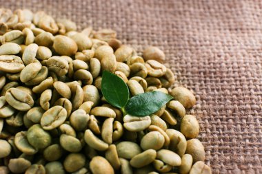 Yeşil kahve çekirdekleri 