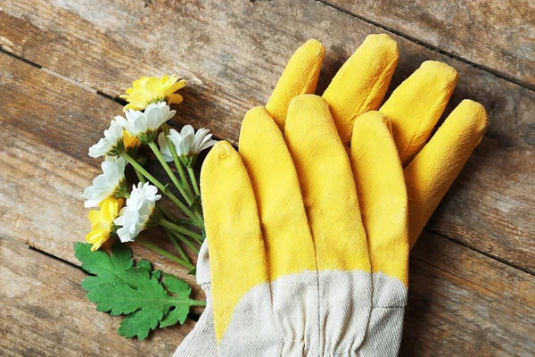 Blumen und Gärtnerhandschuhe — Stockfoto