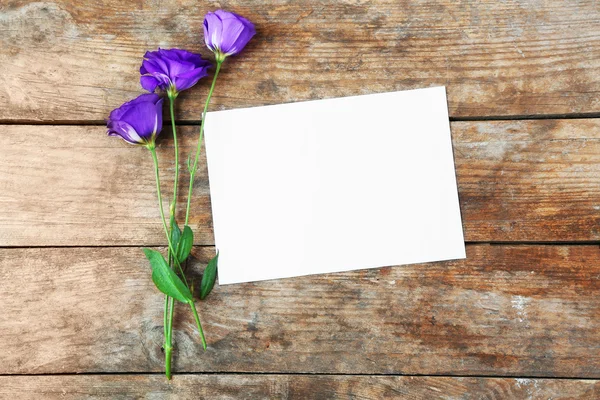 Folha branca e flores bonitas — Fotografia de Stock