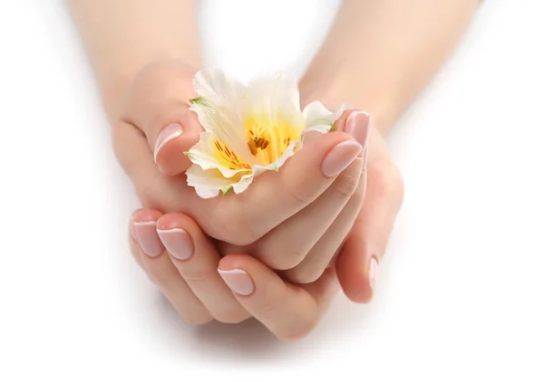 Woman hands with beautiful manicure — Stock Photo, Image