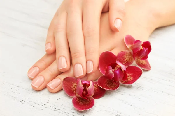 Mujer manos con hermosa manicura — Foto de Stock