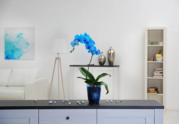 Hermosa flor de orquídea azul en la mesa —  Fotos de Stock