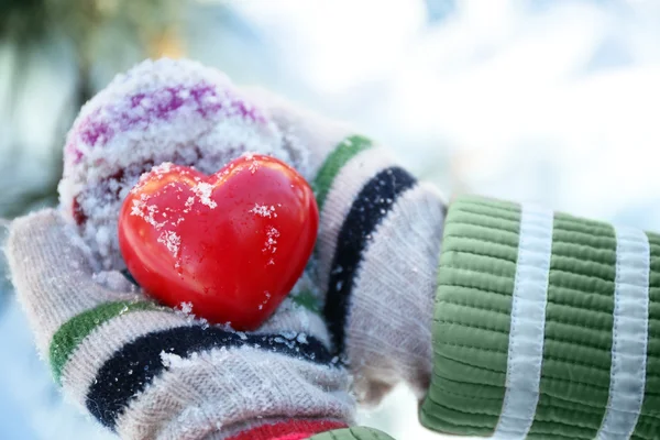 Hände halten rotes Herz — Stockfoto