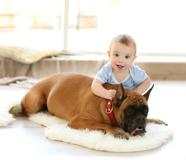 Little baby boy with boxer dog — Stock Photo, Image