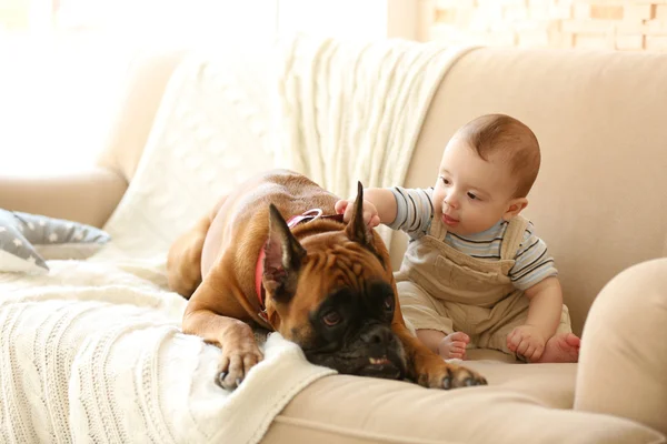 Baby jongetje met boxer hond — Stockfoto