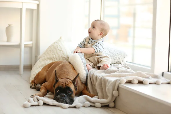 Liten pojke med boxer hund — Stockfoto