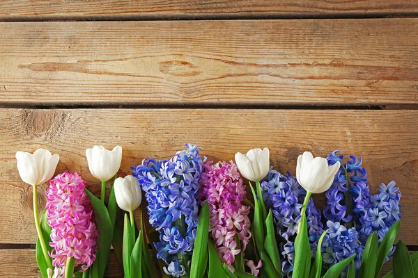 Склад гіацинту і тюльпанів — стокове фото