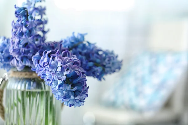 Hermosas flores de jacinto — Foto de Stock